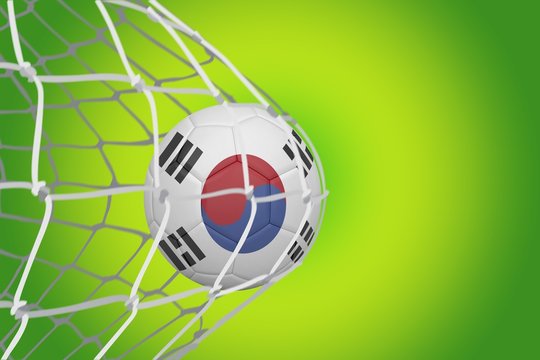 Football in south korea colours  at back of net