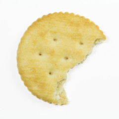 cookie biscuit