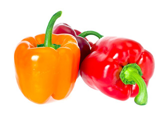 Colored Fresh Sweet Pepper Isolated on White Background