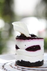 Blueberry cheesecake slice