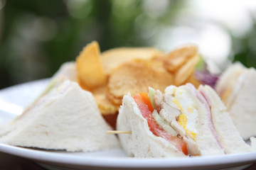 Club sandwich with on wood background