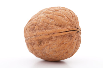 walnut