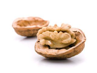 Open walnut