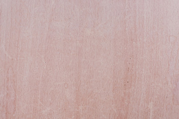Fototapeta premium Wood texture.