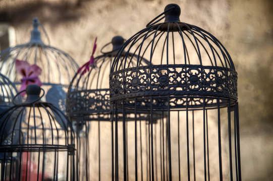Birds cages - Nostalgia