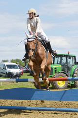 horse jumping
