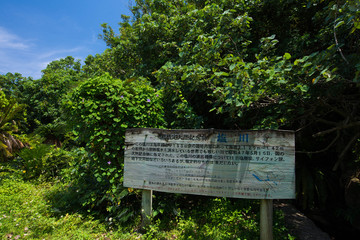 塩川　天然記念物