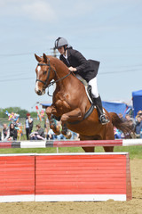 horse jumping