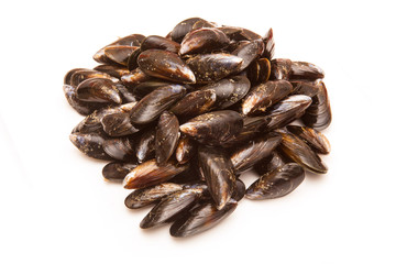 Mussels on a white studio background.