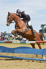 horse jumping