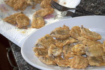 fry of anchovies