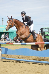 horse jumping