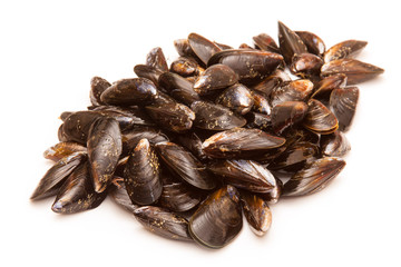 Mussels on a white studio background.