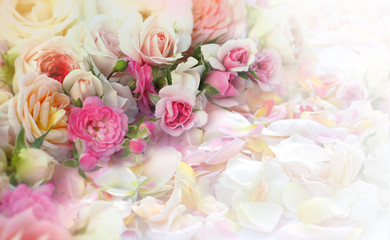 Roses flowers and petals background.