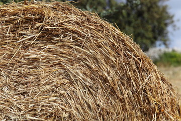 Rotoballa di fieno