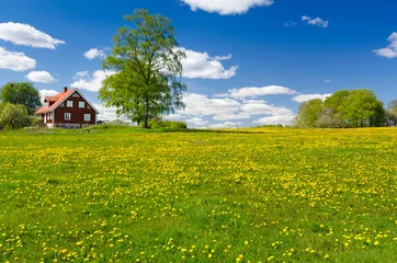 Gordijnen Swedish farm in May © Piotr Wawrzyniuk