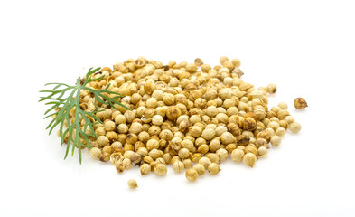 Coriander seeds