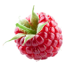 Raspberry fruit isolated on white