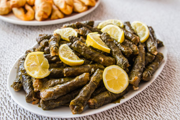Sarma, Stuffed Grape Leaves in white plate on white background