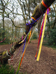 Ribbons, Fairy Hill, Scotland