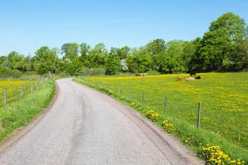 Winding country road