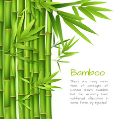 Naklejka premium Realistic bamboo background