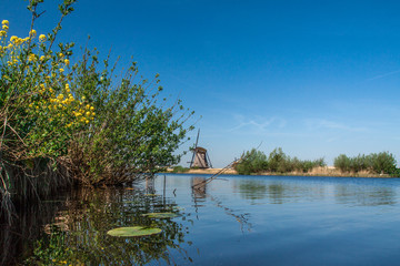 Obraz premium Die Mühlen von Kinderdijk