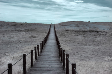 Wide dune