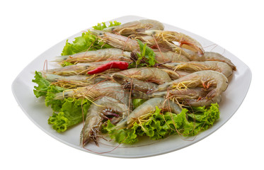 Raw tiger shrimps