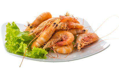 Big tiger shrimps