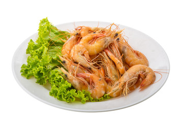 Big tiger shrimps
