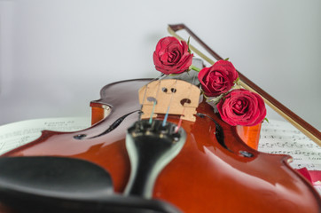 Closeup photo of violin and roses on note sheet