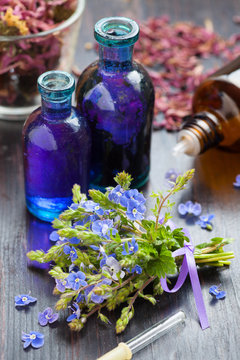 glass bottle of essential oil and blue healing flowers