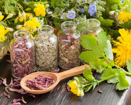 healing herbs in glass bottles, healthy plants and wooden spoon