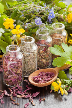 herbs in glass bottles, healthy plants and wooden spoon