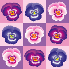 Pansy Purple