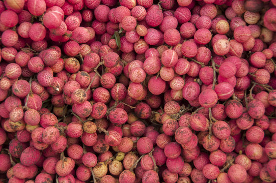 Colan Thai wild fruit.