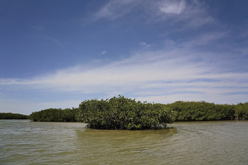 réserve naturelle de la Somone (Sénégal)