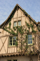 Half-timbered house