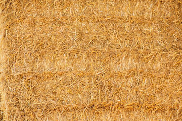 Straw texture © Carsten Reisinger