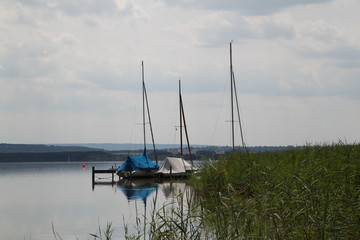 Fototapeta na wymiar Boote am Steinhuder Meer