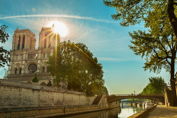 Cathédrale Notre-Dame de Paris