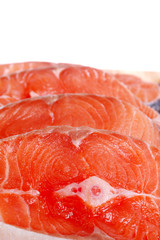 Salmon closeup