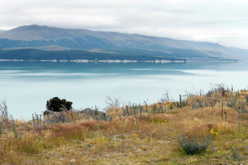 Fototapeta na wymiar krajobraz z jeziora na południu Nowej Zelandii