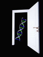 DNA strand and open doorway