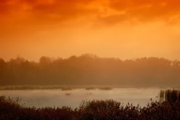Fotobehang Sunrise on the lake © daeshmolodej