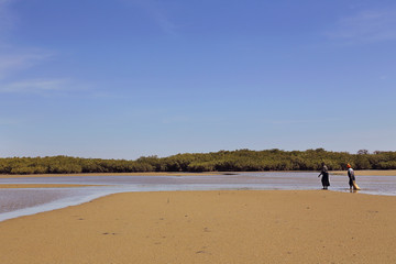 Fototapeta na wymiar réserve naturelle de la Somone (Sénégal)