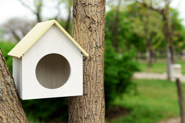 Birdhouse in garden outdoors