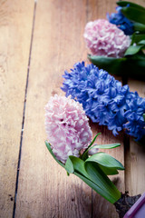 Beautiful hyacinth flowers on old wooden background
