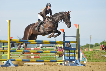 show jumping